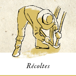 Illustration: Récoltes