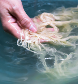 写真:たっぷりと水を使い、原料のちり取りをしている様子