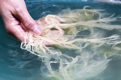 Photo: Lavage à la main des matières premières avec de l'eau propre